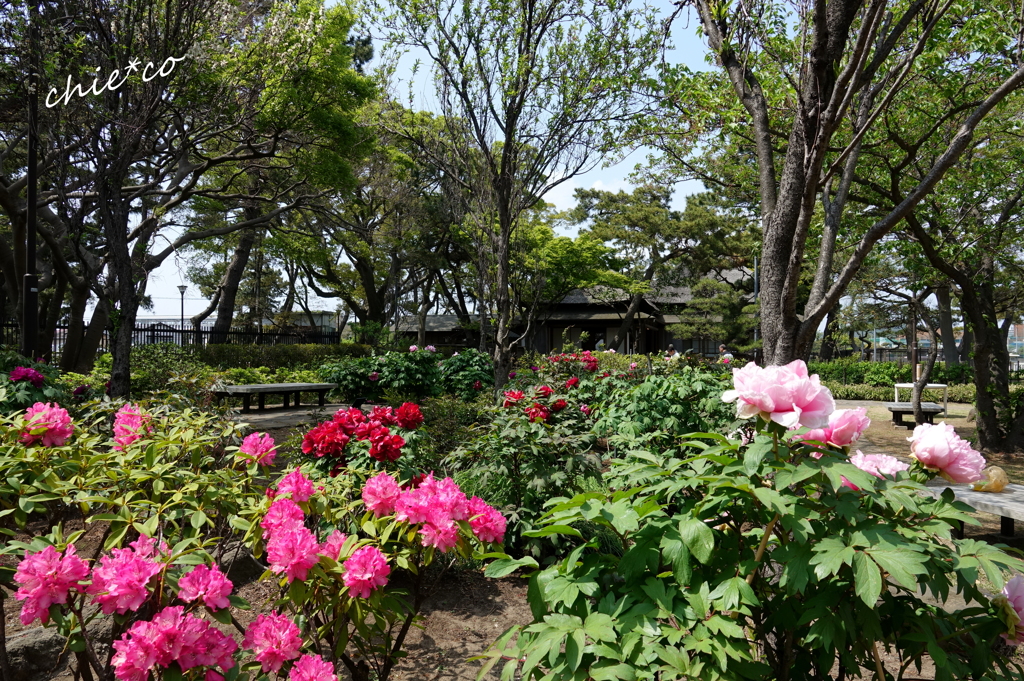 龍華寺 伊藤博文別邸-204