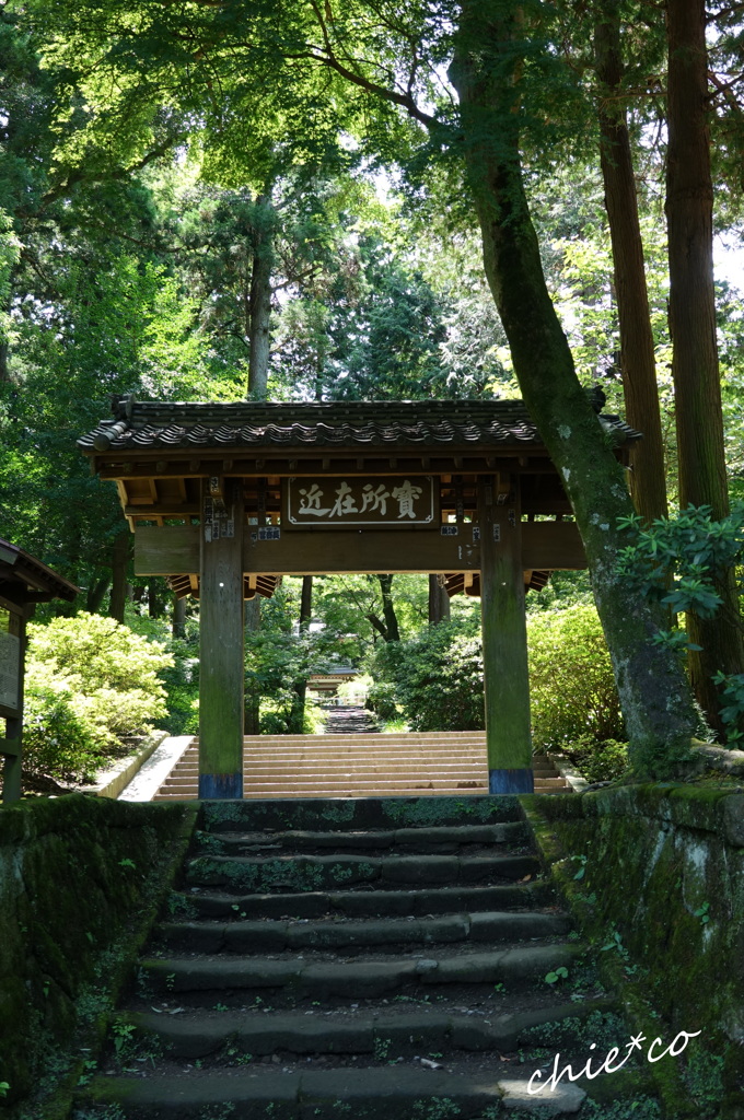 鎌倉-707