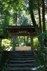 鎌倉-707