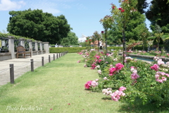 イタリア山庭園-196