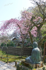 鎌倉-454