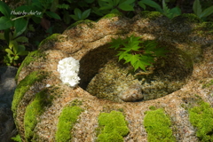 一条恵観山荘-147