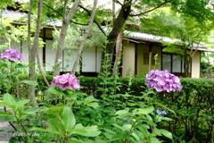 鎌倉一条恵観山荘-144