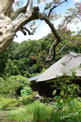北鎌倉-330