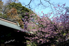 北鎌倉-269