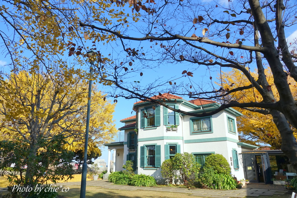 山手イタリア山庭園-184