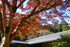 北鎌倉-310