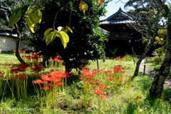 鎌倉-213