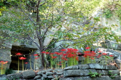 鎌倉-220