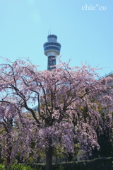 山下公園-160