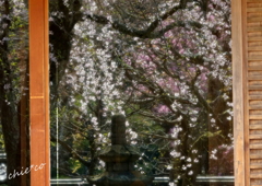鎌倉-445