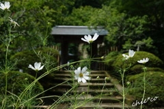 鎌倉-628