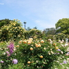 港の見える丘公園-052