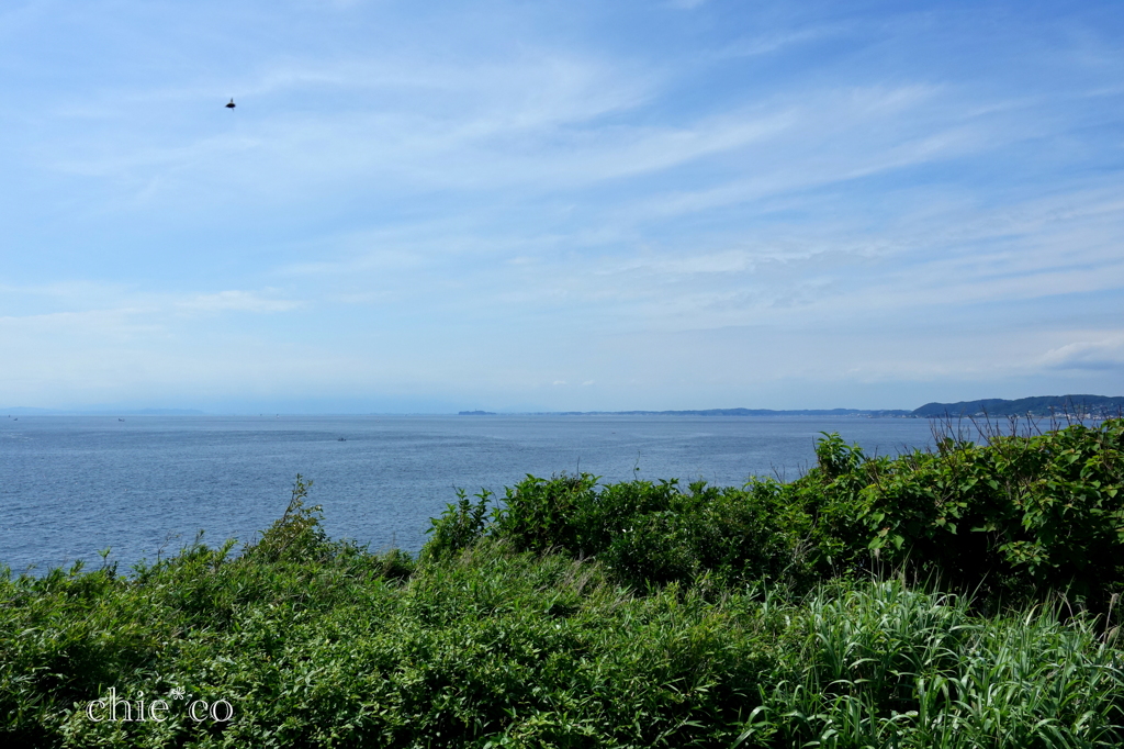 荒崎-005