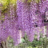 鎌倉-087