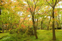 箱根美術館庭園-223