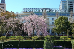 山下公園-150