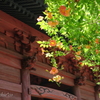 鎌倉-150