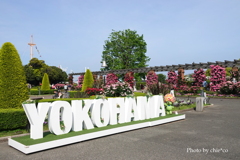 山下公園-118