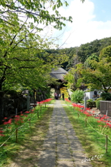 西方寺-160