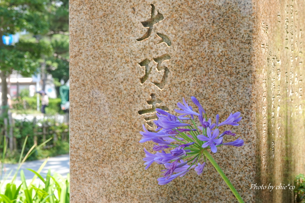 鎌倉-096