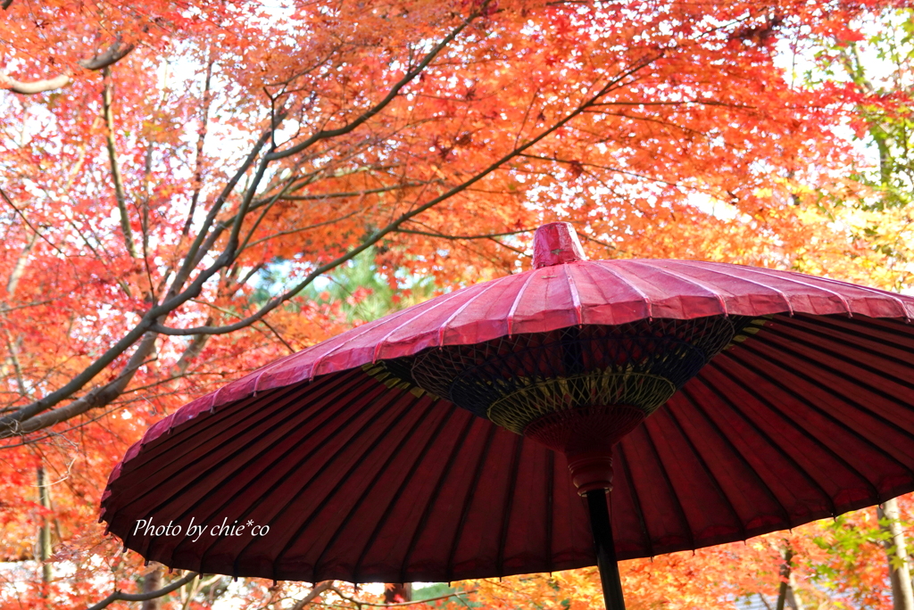 一条恵観山荘-104