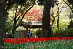 横浜公園-071