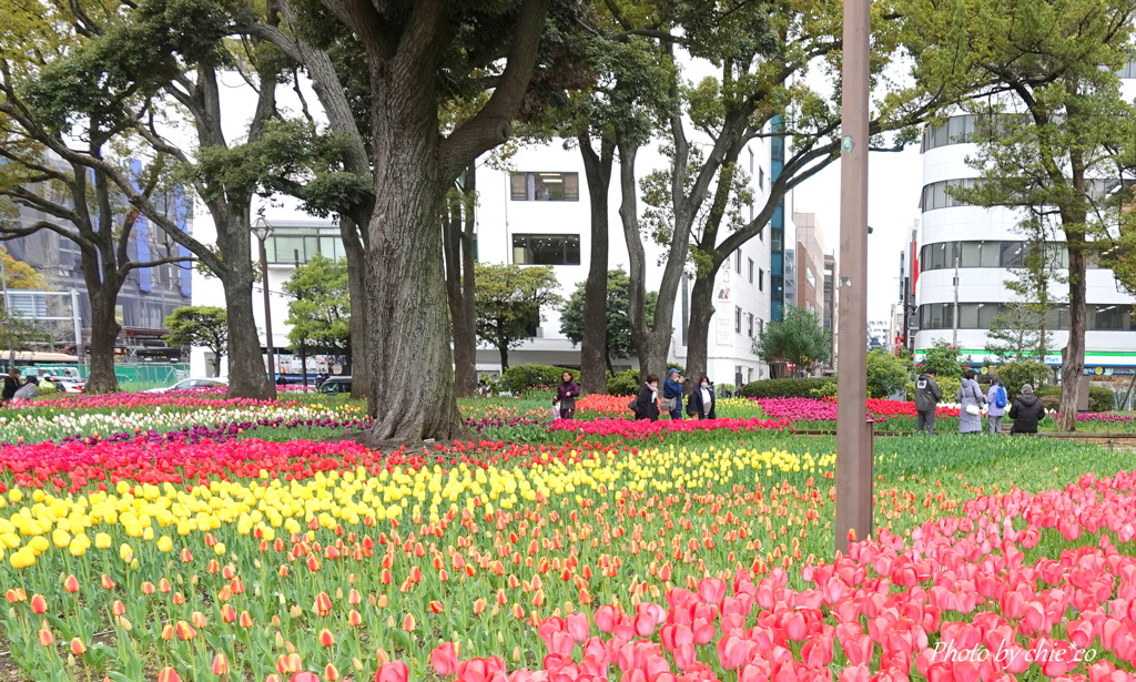 横浜公園-148