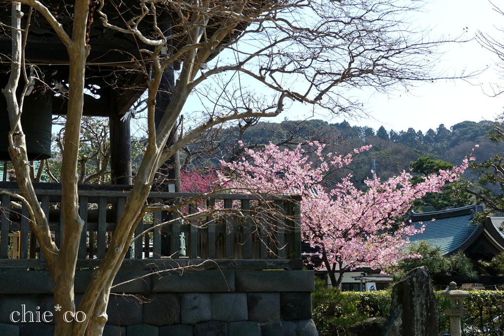 鎌倉-161