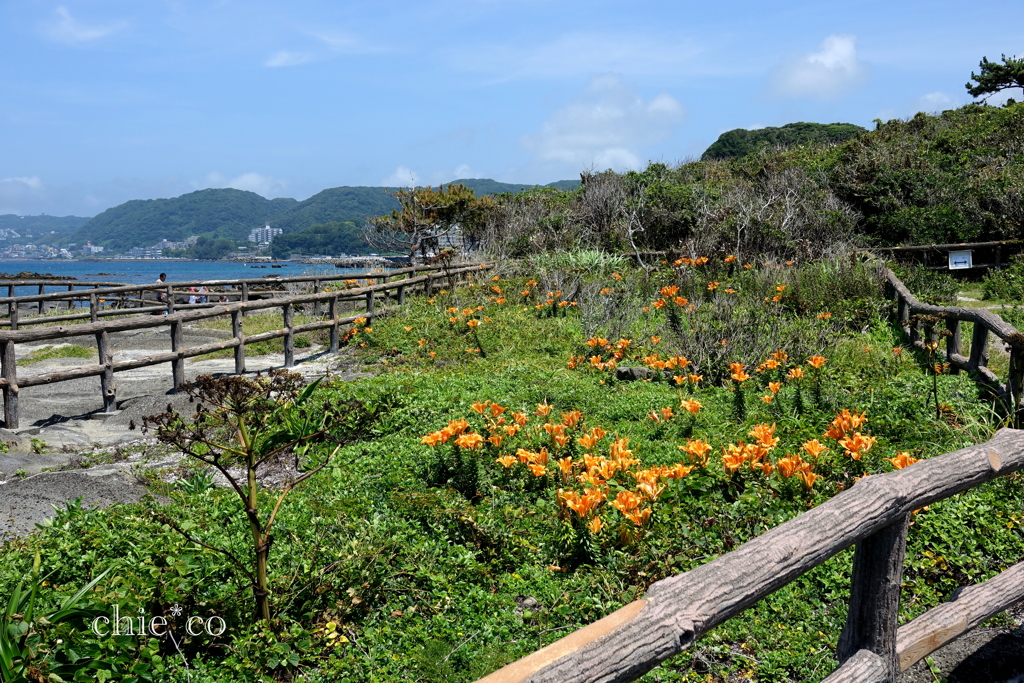 佐島-048