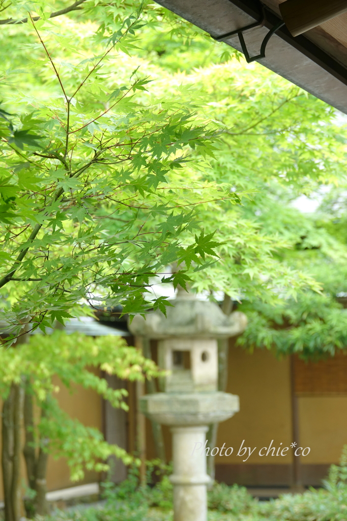 一条恵観山荘-334