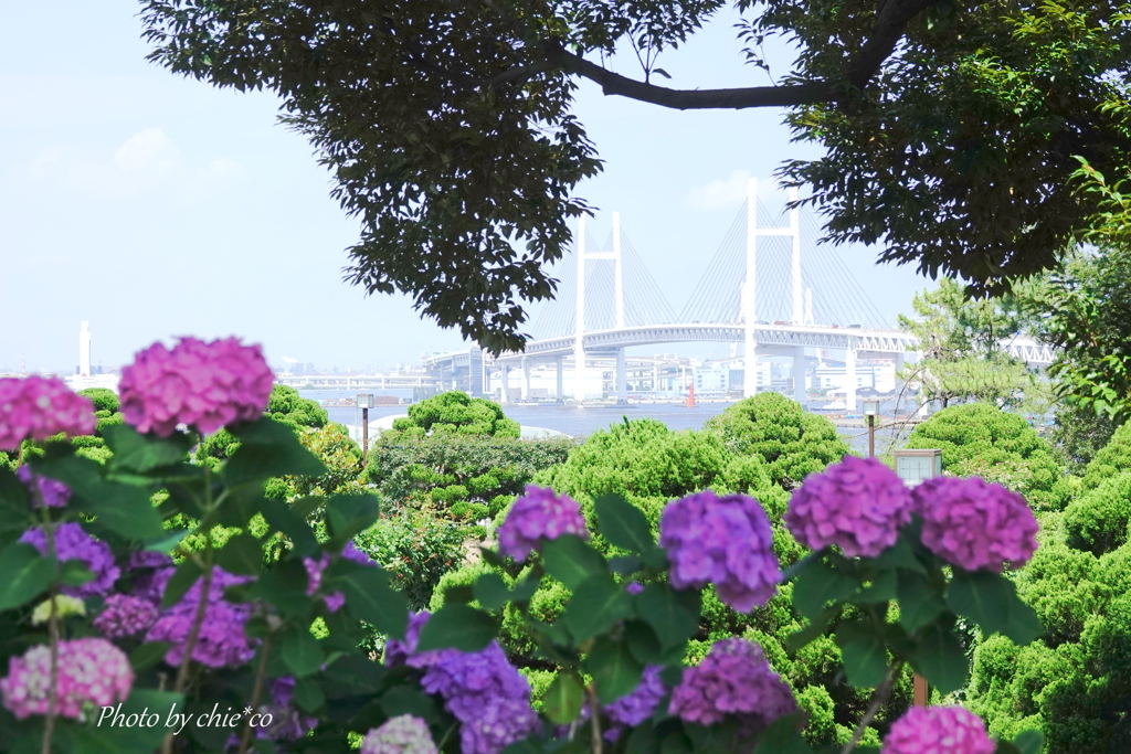 港の見える丘公園-144