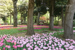 横浜公園-299