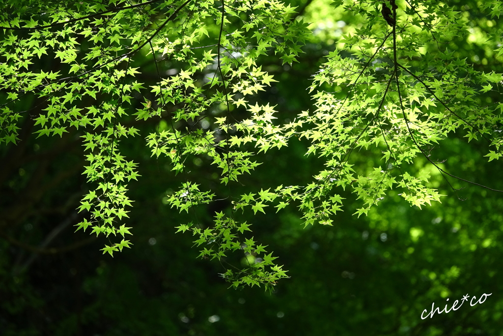 北鎌倉-280