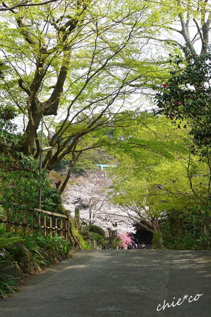 鎌倉-333