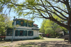 山手イタリア山庭園-136