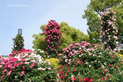 山下公園-099