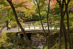 箱根美術館庭園-180