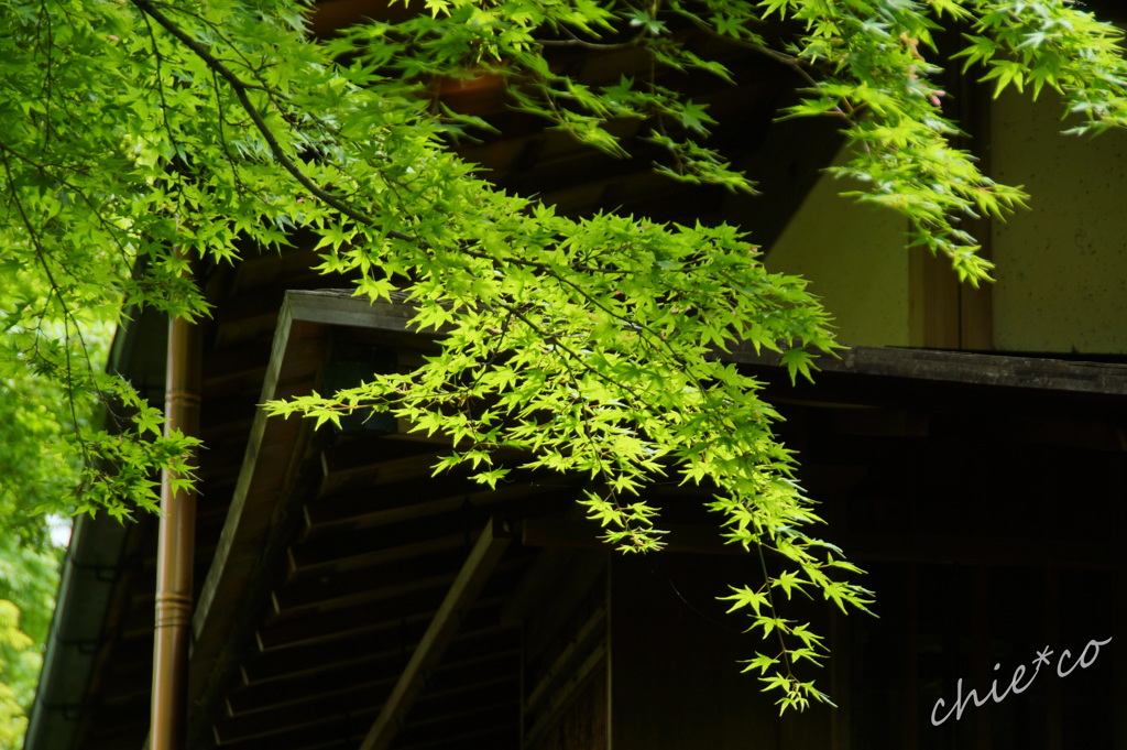 箱根美術館-178
