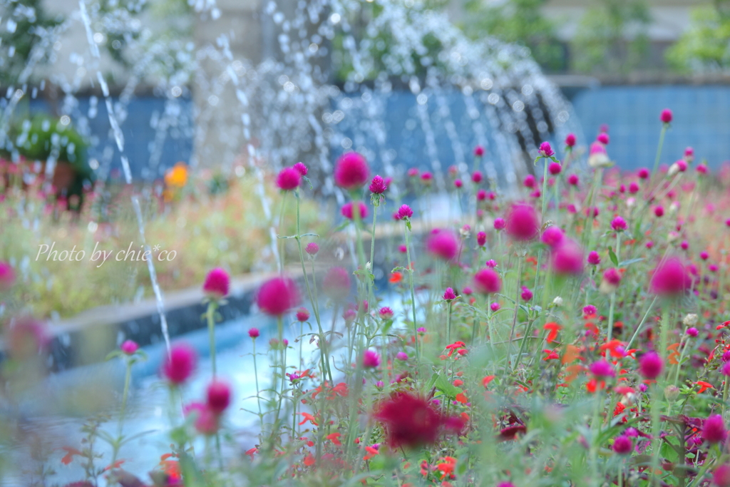 イタリア山庭園-314