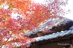 鎌倉　一条恵観山荘-023