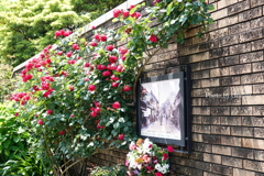 アメリカ山公園-043