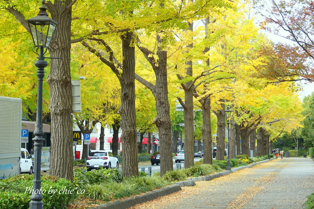 山下公園-117