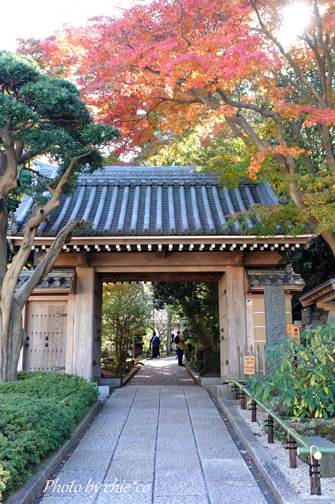 報国寺
