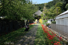 西方寺-259