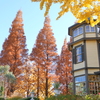 山手イタリア山庭園-170