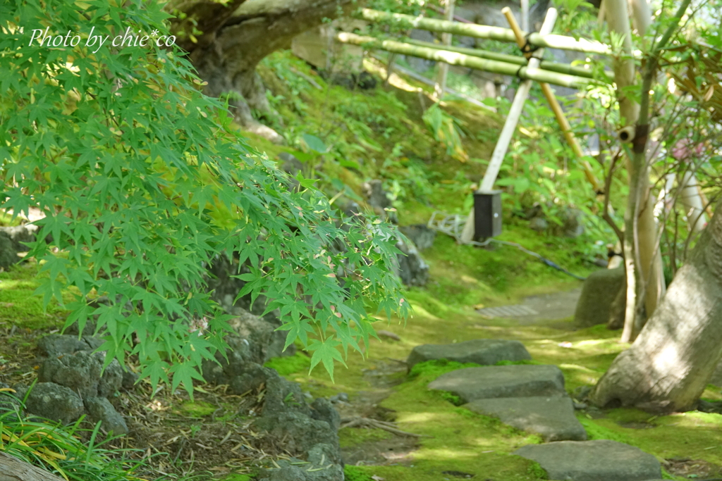 鎌倉-207
