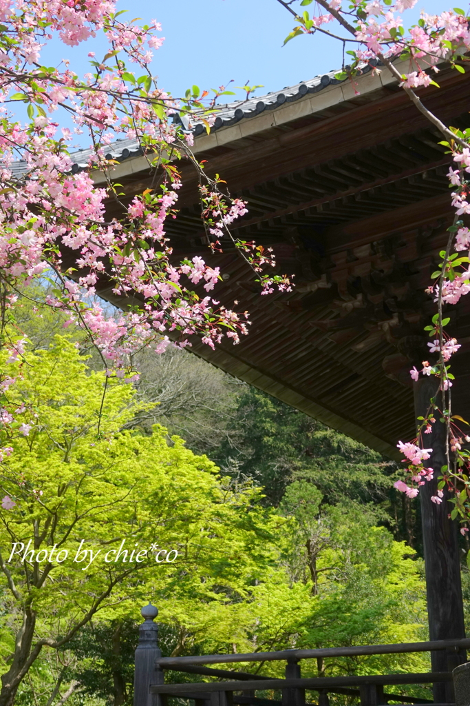 鎌倉-068