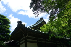 鎌倉-110