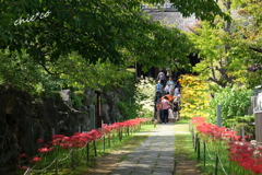 西方寺-193